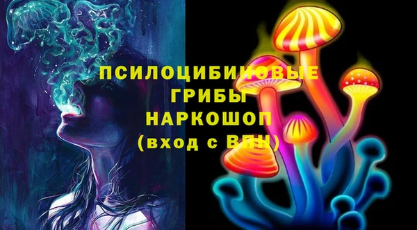 гидра Алексеевка